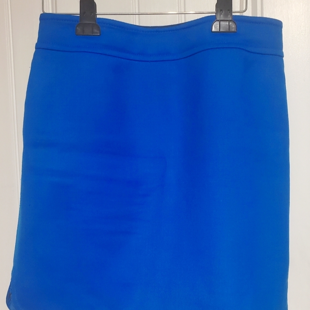 Ann Taylor Skirt Size 12
